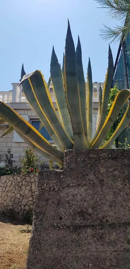Villa Anka Okrug Gornji Trogir Apartment