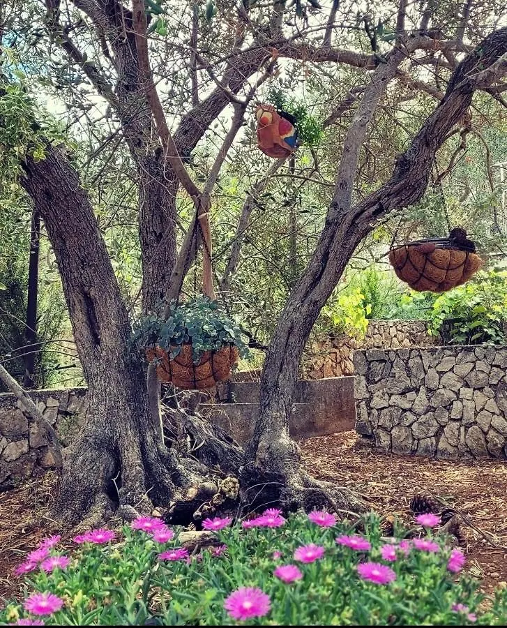Villa Anka Okrug Gornji Trogir Croatia